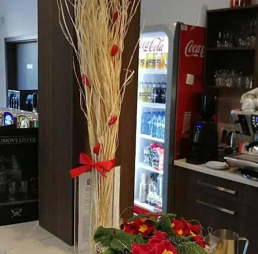 Penzion U Brázdů 3*